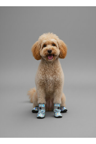 Monopetz Yeni Sezon Köpek Pati Koruyucu Ayakkabı – Holografik Ayakkabı , Su Geçirmez, Kaymaz Taban 4 Adet