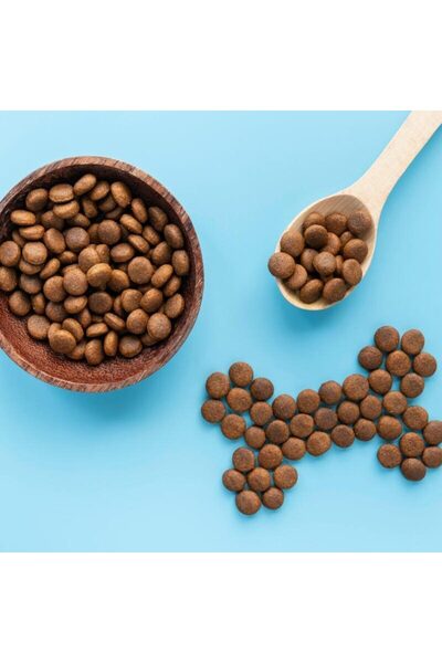 Wise Dog Lamb Rice Kuzu Etli Yetişkin Köpek Maması 1 KĞ