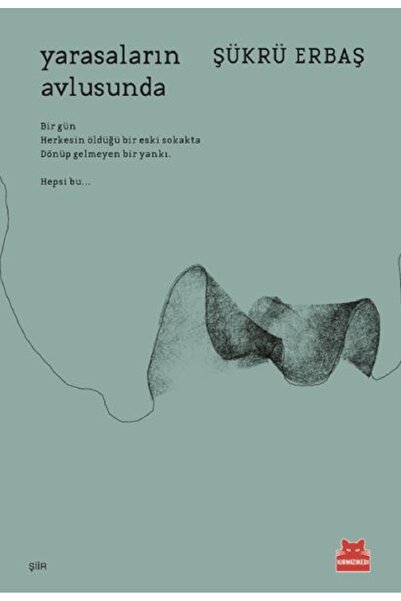 Kırmızı Kedi Yayınları Yarasaların Avlusunda