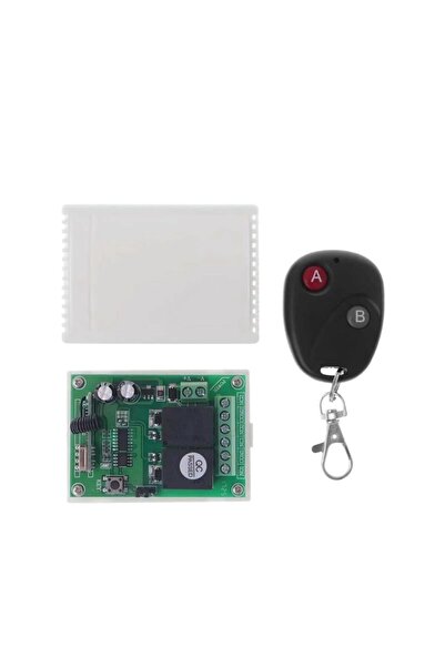 OEM Remote control + 2-channel mini receiver