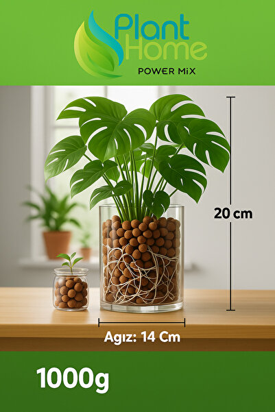 Plant Home Power Mix Tropikal Bitki Cam Saksı – Şeffaf Dekoratif Saksı (1000 gr)