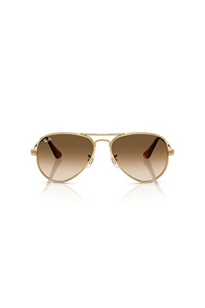 Ray-Ban 0Rb 3925 001/51 58 Unisex Sunglasses