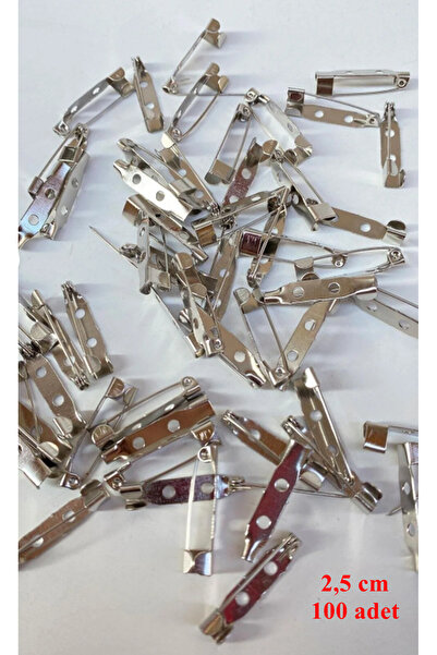 Kezban Tekstil 100 Adet 2,5 Cm Günüş Rengi Çengelli Broş Iğnesi Yaka Iğnesi D...