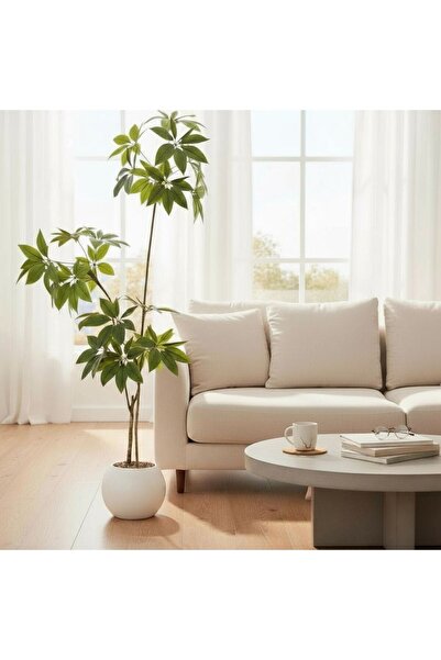 Casco Artificial schefflera plant, 200 cm tall, with an elegant round pot.