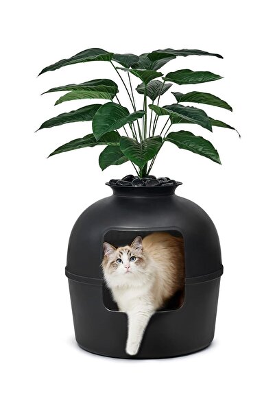 Petozi Dekoratif Kedi Tuvaleti & Evi