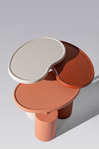 CAVARİOR MOBİLYA Organik Formlu Renkli 3'lü Zigon Sehpa Takımı