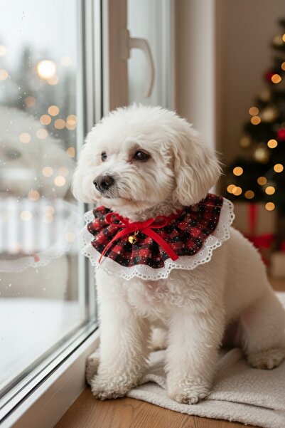 CAŞ DEKORASYON Red Color Potikare Adjustable Cat Dog Collar with Bell