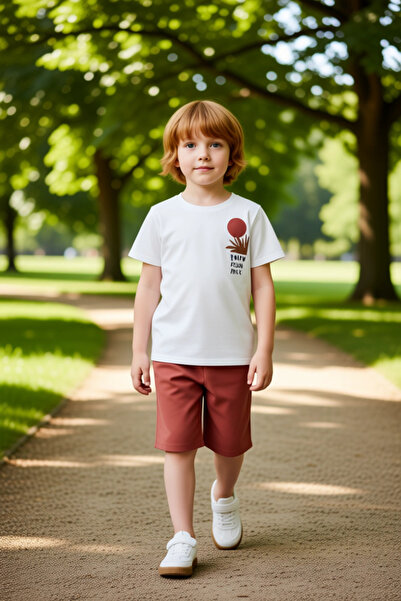 PayBuy Boys' Cotton T-Shirt and Shorts Set All-Day Comfort and Style Quality Stylish Casual