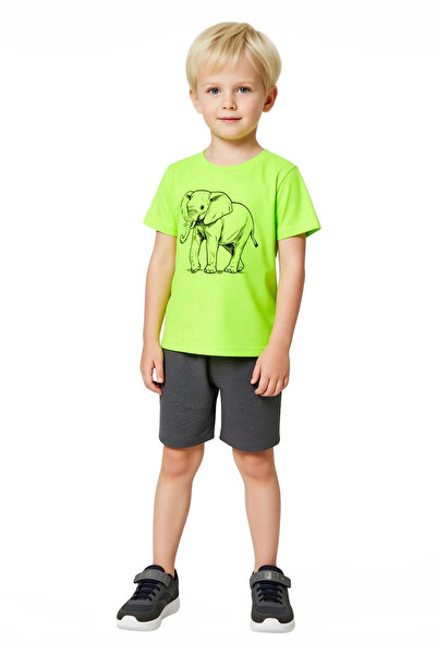 PayBuy Boys' 100% Cotton Elephant Printed Crew Neck Short Sleeve Top and Shorts Set Quality Stylish