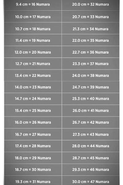 bhk desing Haw Dog Printed Male Child Sport Shoes Sneaker