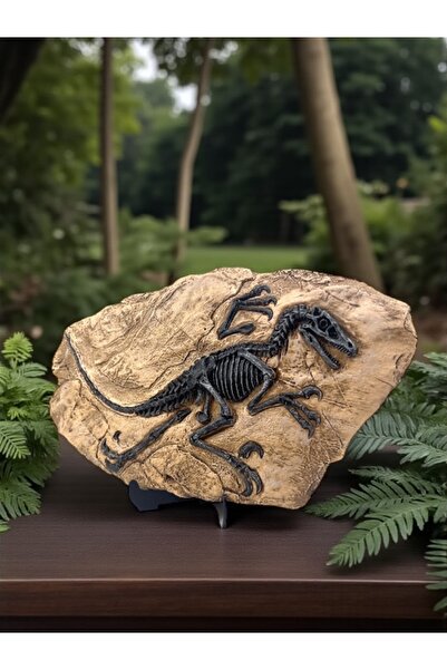 hediye arıları Yüksek Dayanıklı Polyester Dinazor Fosili Biblosu - Dekoratif ...