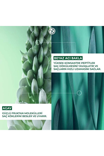 Yves Rocher Saç Dökülmesine Karşı Güçlendirici Prebiyotik Şampuan 300 ml Canlandırıcı Hacim Vegan Bakım