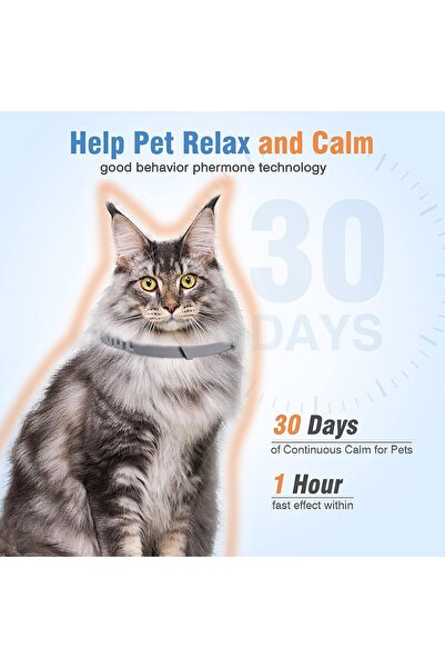 genernic Calming Cat Collar (Pheromone) - Up to 60 Days, Gray - Pack of 4