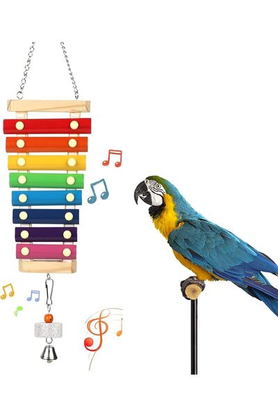 genernic لعبة ببغاء إكسيليفون معلقة كبيرة من هيرتزاكسين - لعبة مضغ خشبية متعد...
