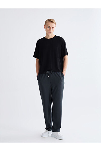 LC Waikiki Lcw vision petrol standard fit men's textured pants