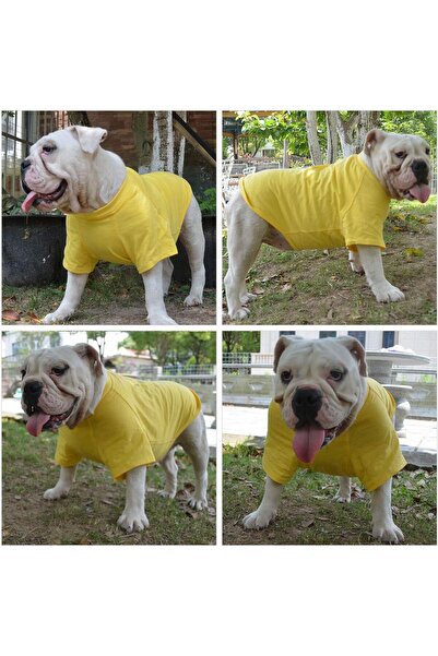 OEM Lovelonglong παλτό για σκύλους, μέγεθος XS, βασικό, βαμβακερό, κίτρινο