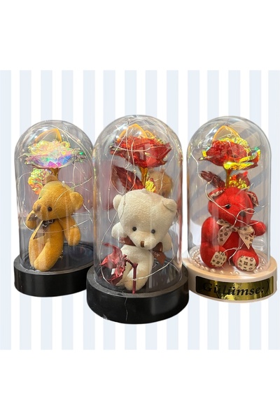 HEDİYEVİM Sonsuz gül fanus içerisinde ayıcık sevgililer günü