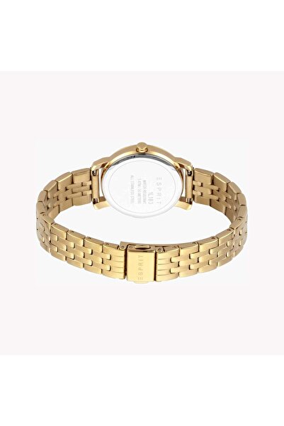 Esprit Women's Gold Stainless Steel Watch, Silver Dial | Es1l123m0015