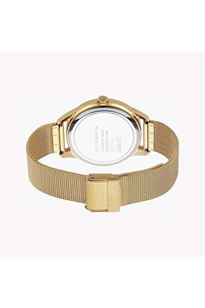 Esprit Women's Gold Stainless Steel Watch, Champagne Dial | Es1l143m0035