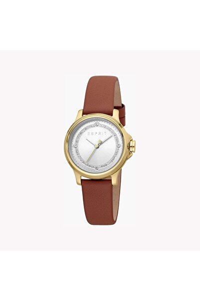 Esprit Women's Brown Leather Watch, Silver Dial | Es1l226m0045
