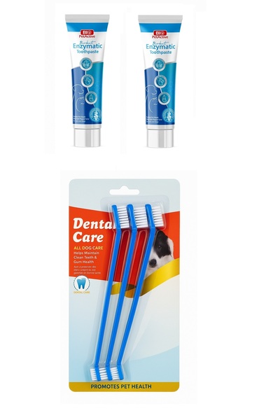 Bio PetActive Biodent Enzymatic Köpek Diş Macunu 100 ML X 2 Adet + Diş Fırças...