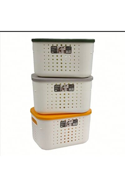 sweenhome Lova 6.2 Lt Plastic Lid Storage Box 26.9-18.7-8.2 cm