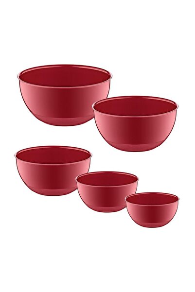 Smartware Set of 5 Loop Bowls