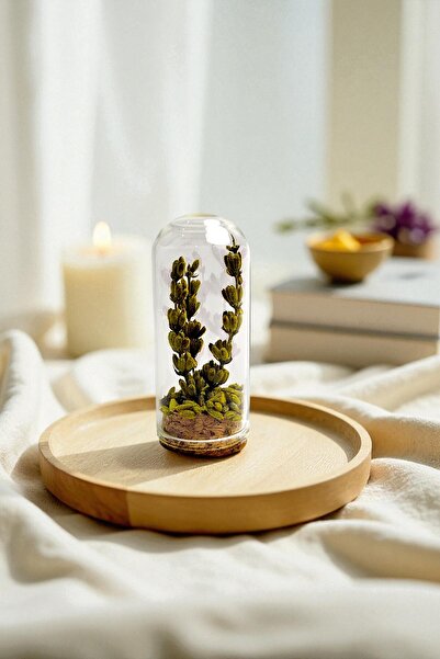 Pisidesa Pisidia Renkli Lavanta Kapsülü Cam Şişe – Doğal Kurutulmuş Çiçek Dek...