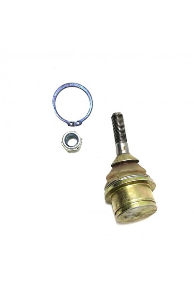 CAR Knee under Victoria 2003-2012 American C2K