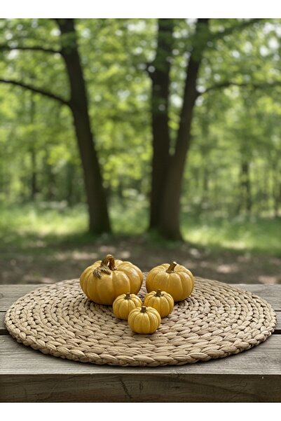 ZENNORA HOME Balkabağı Sarı 5'Lİ Dekorasyon Seti, Obje, Biblo, Ev Dekorasyon,...