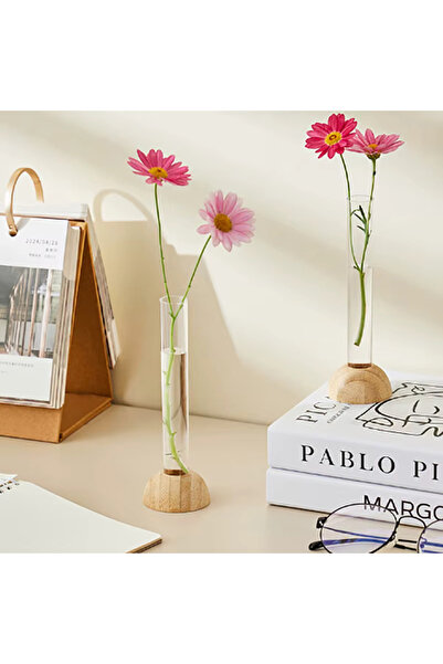 KESNUP Hydroponic test tube vase with wooden stand, minimalist Nordic design, Transparent / Beige