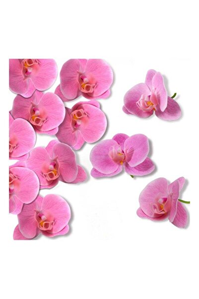 Generic SYOSI 20 PCS Orchid Petals Artificial Decorations Orchids Heads Flowers Faux Silk Phalaenopsis Butt