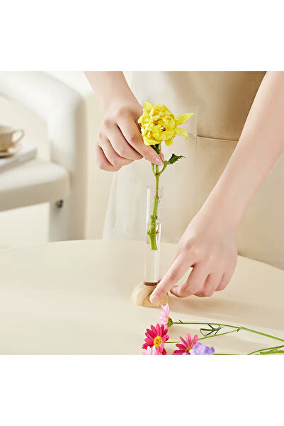 KESNUP Hydroponic test tube vase with wooden stand, minimalist Nordic design, Transparent / Beige