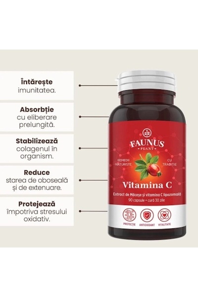 Faunus Plant Liposomal Vitamin C with Rosehips - High concentration of vitamin C for immunity, 90 cps