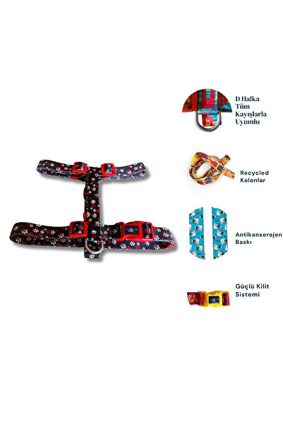 PAWLOOK Design, H Tipi, Köpek Göğüs Tasması, Köpek Tasması, Göğüs Tasması,