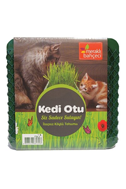 Genel Markalar Eden Zirai Kedi Otu Yetiştirme Seti 3 ADET