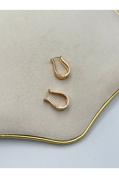 MyladyAccessoriess Rose Laser Cut Hoop Earrings (Brass Plated)