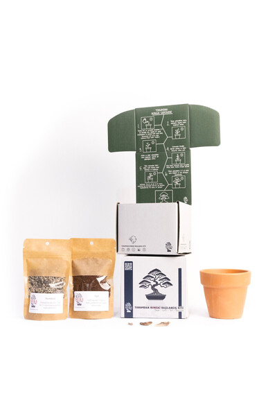 SEIKA Tohumdan Bonsai Başlangıç Kiti - Amerikan Sekoya Ağacı