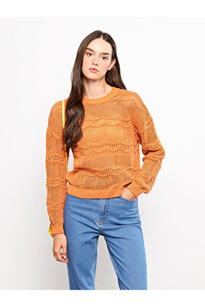 LC Waikiki طاقم الرقبة مخرمة طويلة الأكمام سترة تريكو المرأة