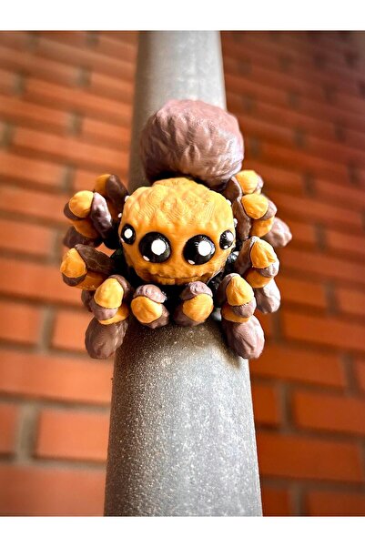 pynarix Tarantula Mıknatıslı Figür – Yapışan Gölge 🕷️🌰🧲 3D Hareketli Organik Oyuncak - Model Orta Boy