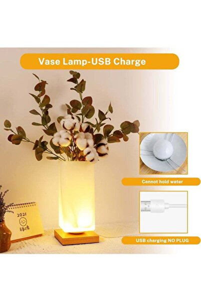 X SPRING USB Charge Vase Table Lamp Frosted Glass Shade with Wood Base for Bedroom Living Room Office