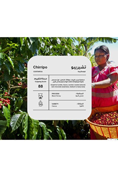 chemex co Piccolo Roastery - Costa Rica Chiribo Honey Black 250g