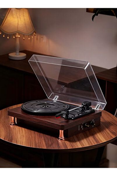 Generic Retro vinyl records, Bluetooth wireless playback, multimedia entertainment center, and home decor