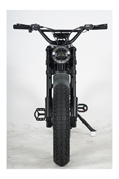 Ape Ryder Gibbon Elektrikli Bisiklet