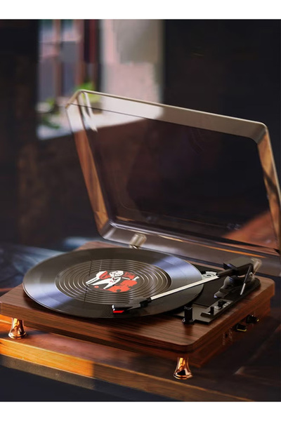 Generic Retro vinyl records, Bluetooth wireless playback, multimedia entertainment center, and home decor