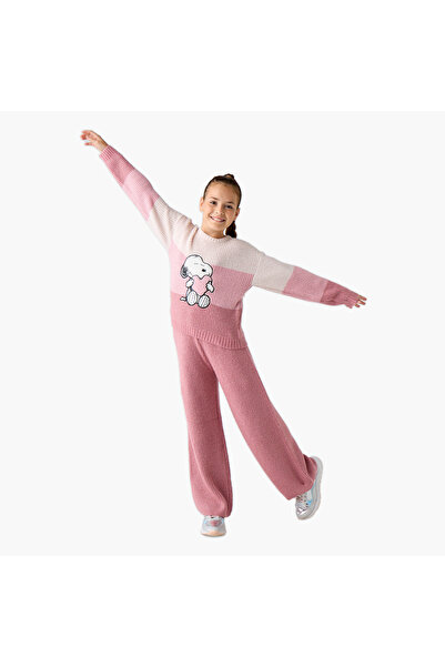 CPLG Snoopy Dog Embroidered Sweater and Wide Leg Pants Set