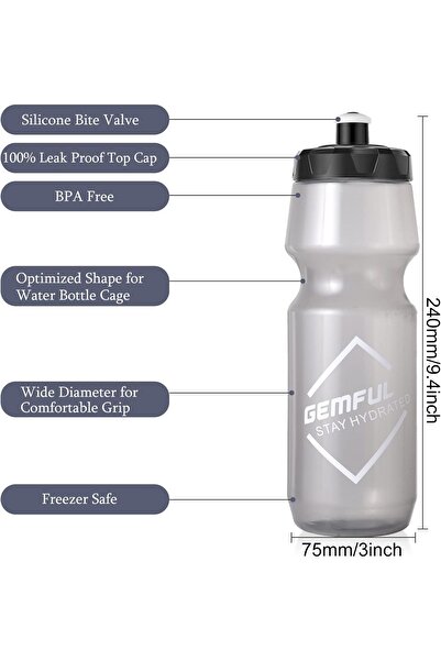 GEMFUL Cycling Water Bottle BPA Free 750ml 2 Pack (Gray)