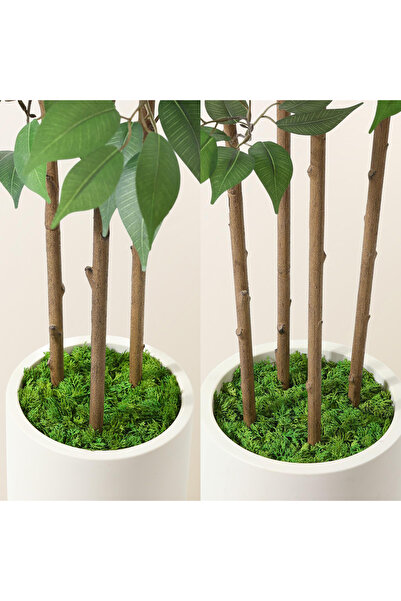 ZVEZVIA 150-180cm Ficus Artificial Tree – Natural Trunk & Lifelike Leaves. Chic Ramadan home/office decor.
