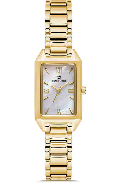 Momentus CW319G-09SG
