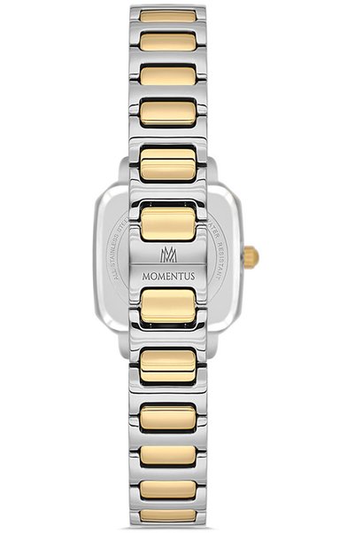 Momentus CW321G-02TG